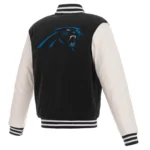 Carolina Panthers - Image 2