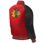 Chicago Blackhawks - Image 2